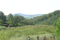 DSC00240