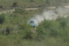 DSC00331