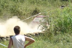 DSC00341