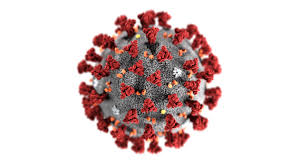 Korona virus